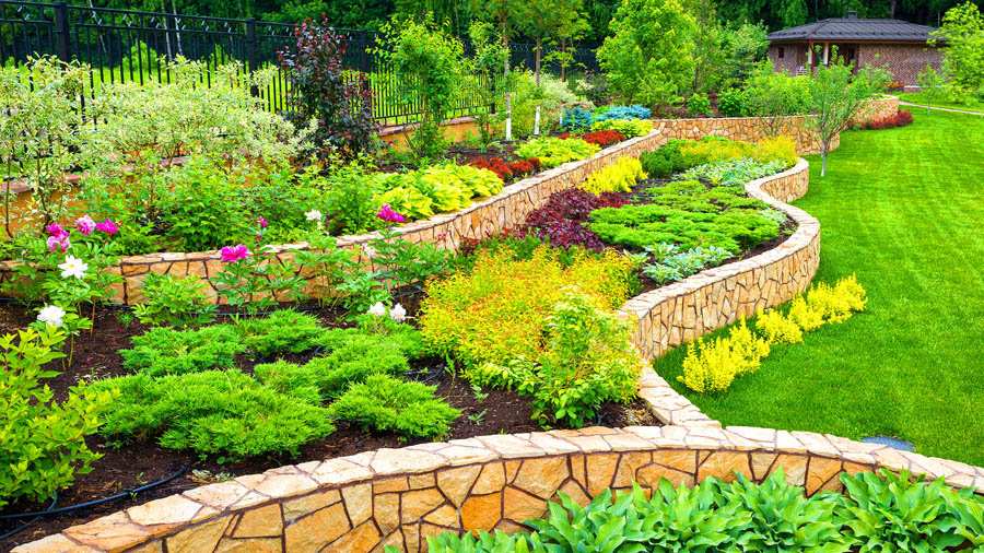 The Green Revolution: Sustainable Landscaping Ideas for the Eco-Conscious Homeowner